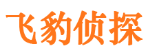 惠来寻人公司